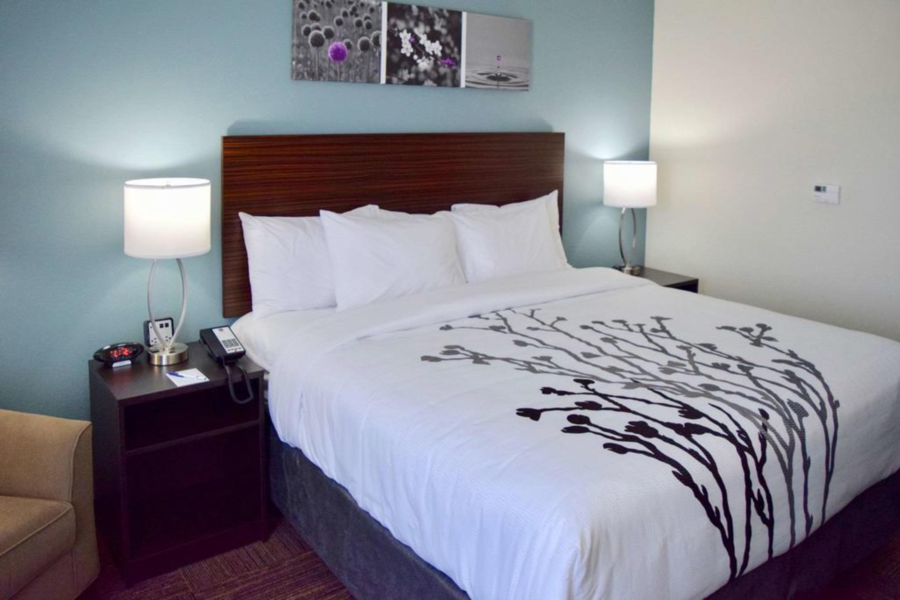 Sleep & Near Westchase